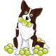 border collie sticker obsessive
